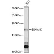 abx136046