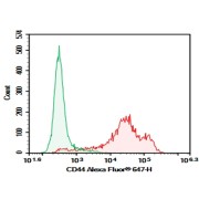 Flow Cytometry analysis of Mouse splenocytes using CD44 antibody (0.2 µg, right histogram) and Rat IgG2b Kappa Isotype Control antibody (0.2 µg, left histogram) with a Goat anti-Rabbit IgG antibody conjugated to AF488.