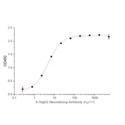 SARS-CoV-2 Spike Neutralizing Antibody