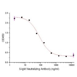 SARS-CoV-2 Spike Neutralizing Antibody