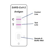 COVID-19 Antigen Rapid Test Kit casette.