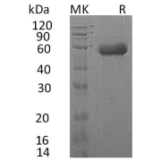 abx690143