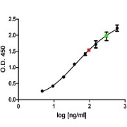 Sandwich ELISA analysis using Mouse Anti-Human Albumin Antibody (<a href="https://www.abbexa.com/index.php?route=product/search&search=abx411071" target="_blank">abx411071</a>, 5 µg/ml) as the capture antibody and Sheep Anti-Human Albumin Antibody (0.75 µg/ml, biotin-conjugated prior to carrying out the assay) as the detection antibody. Samples tested: native Human Albumin purified from urine (<a href="https://www.abbexa.com/index.php?route=product/search&search=abx670201" target="_blank">abx670201</a>, 1/25,000 - 1/250,000 dilution); plasma (1/30,000 dilution, green); plasma (1/60,000 dilution, red).