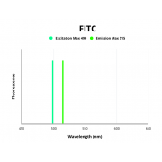 Fluorescence emission spectra of FITC.