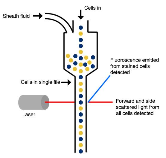 abbexa ltd flow cytometry