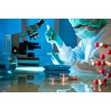 Antibody FAQ