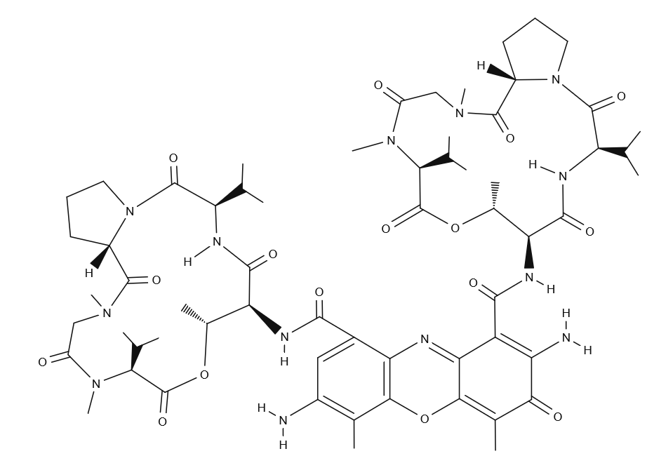 Structural formula of 7-Aminoactinomycin d