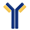 Primary Antibodies